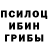 Галлюциногенные грибы Psilocybine cubensis LostTiger