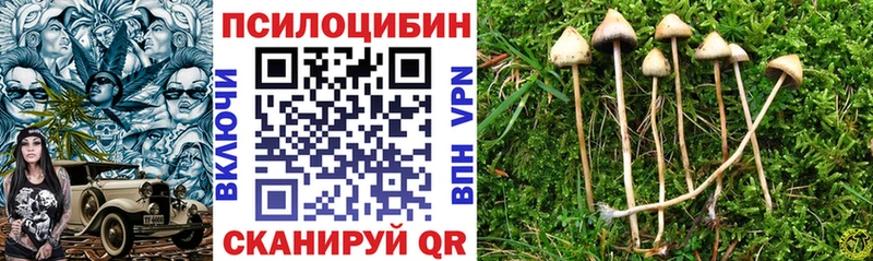 хочу наркоту Олонец Псилоцибиновые грибы GOLDEN TEACHER