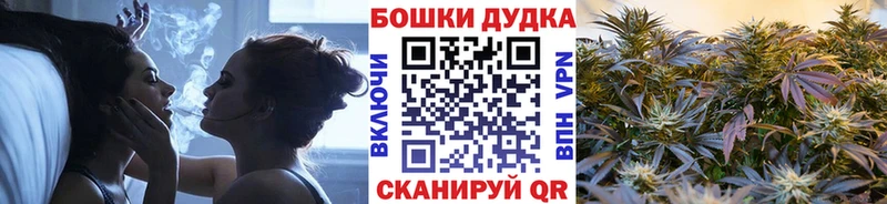 купить наркотики цена  Олонец  Бошки Шишки индика 